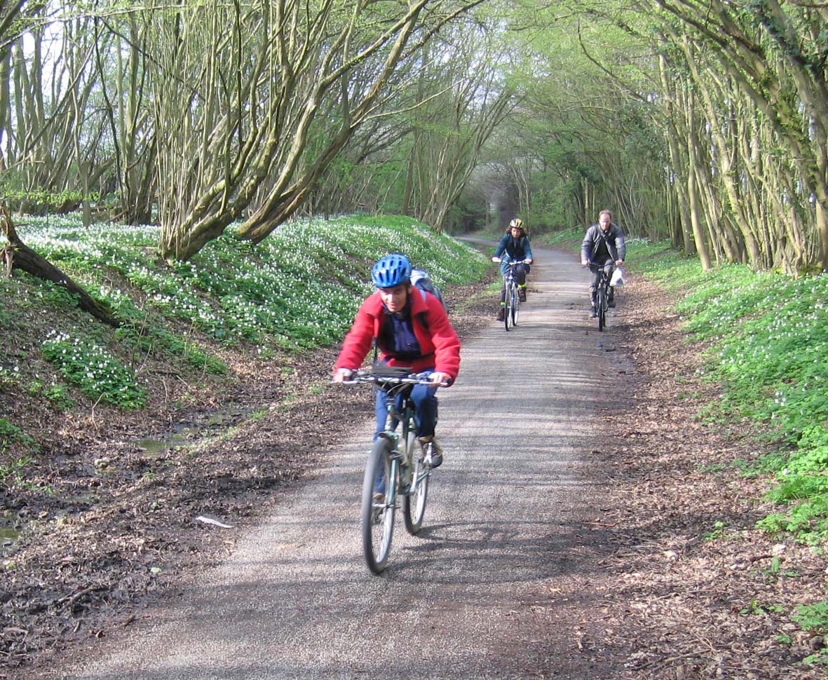 Cycling the Cuckoo Trail